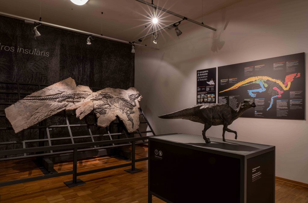 Dinosaur Antonio - Trieste, Antonio Dinosaur Paleontological Site, Località Villaggio del pescatore, Duino