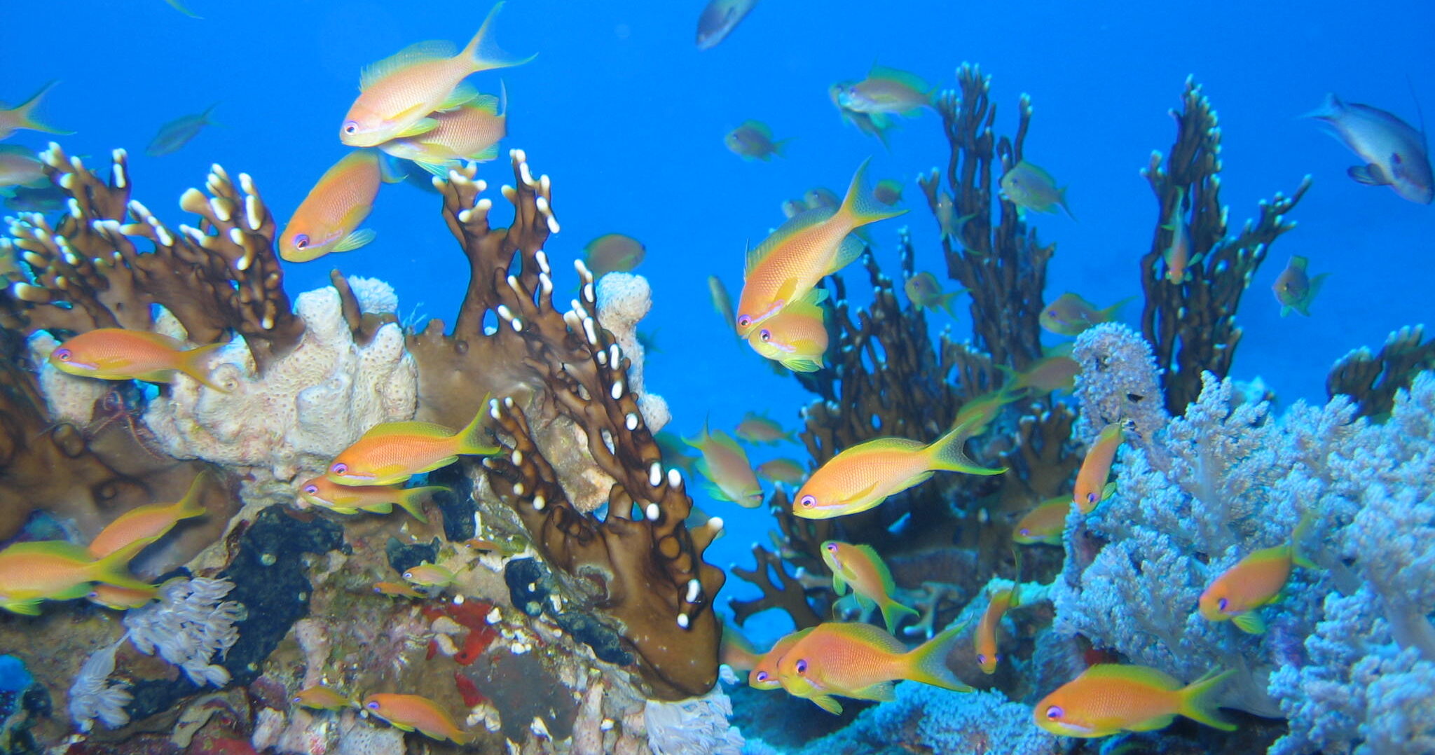 Marine Aquarium - Trieste