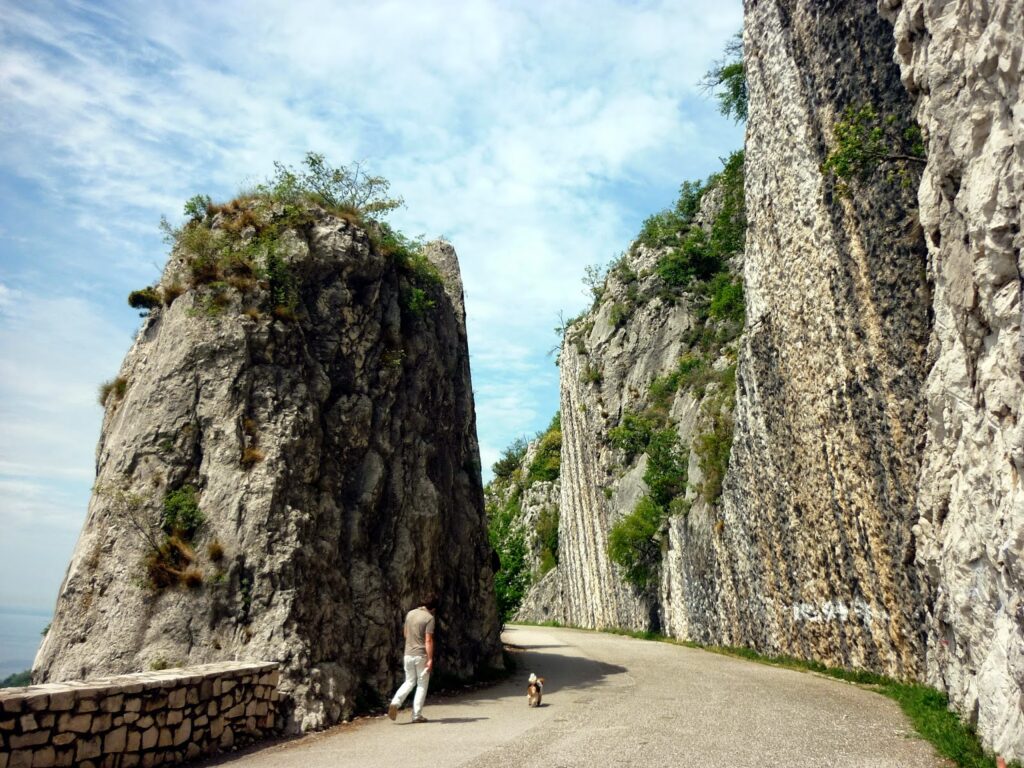 Napoleon road - Trieste, Strada Vicentina