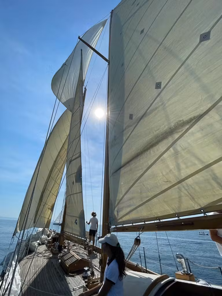 Sailing in Trieste bay - Sailing Yacht Tour to Duino Castle