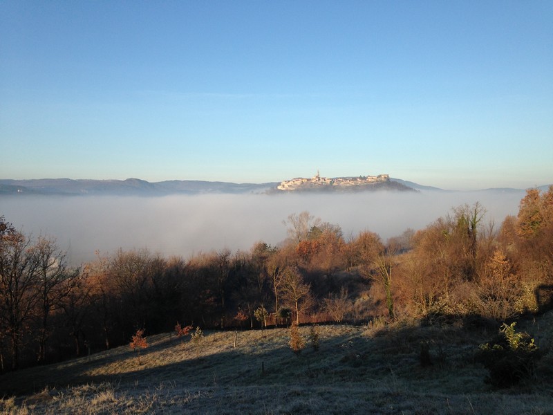Truffle Hunting - Prodan Tartufi, Croatia