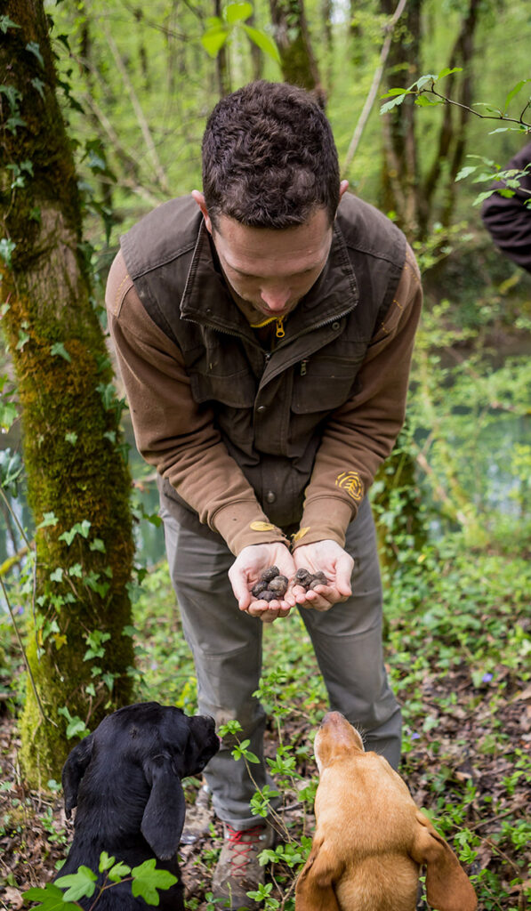 Truffle Hunting Motovun, Croatia