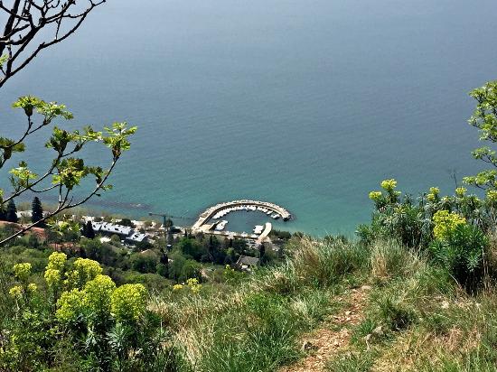 Napoleon road - Trieste, Strada Vicentina