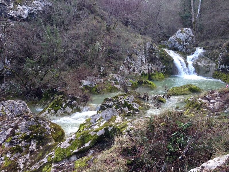 Truffle Hunting - Prodan Tartufi, Croatia