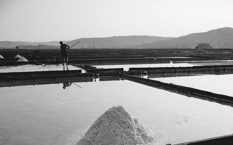 Piran Salt Products like cosmetics, herbs, chocolate. Shops in Koper, Piran and Portorož. 