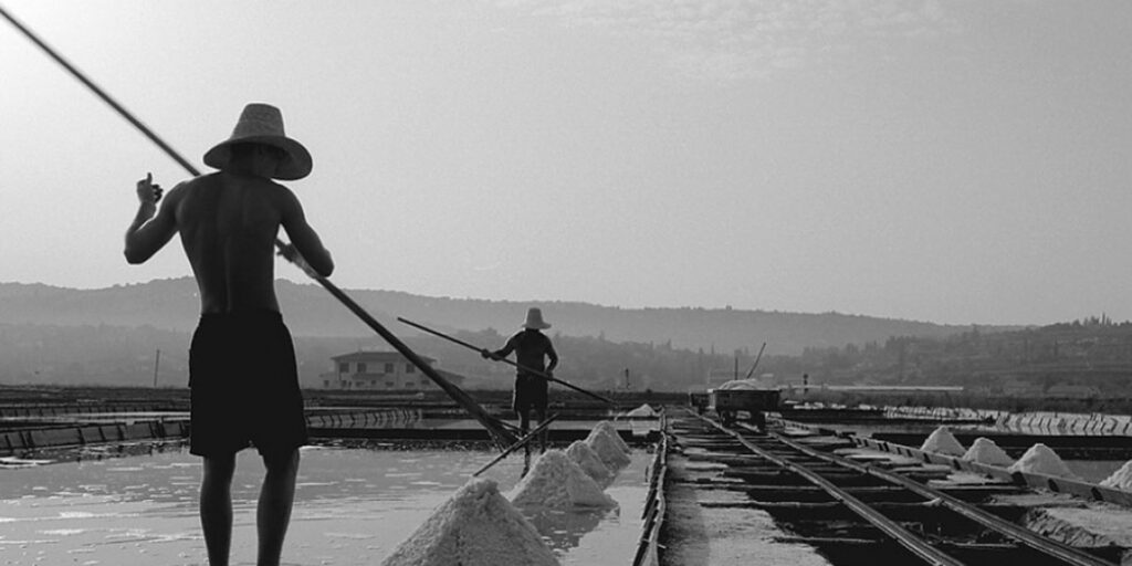 Piran Salt Products like cosmetics, herbs, chocolate. Shops in Koper, Piran and Portorož. 