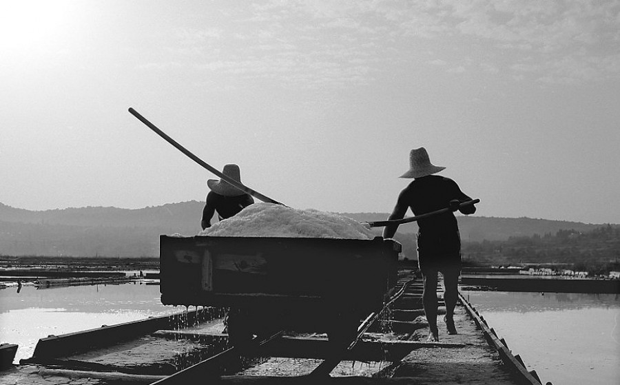 Piran Salt Products like cosmetics, herbs, chocolate. Shops in Koper, Piran and Portorož. 