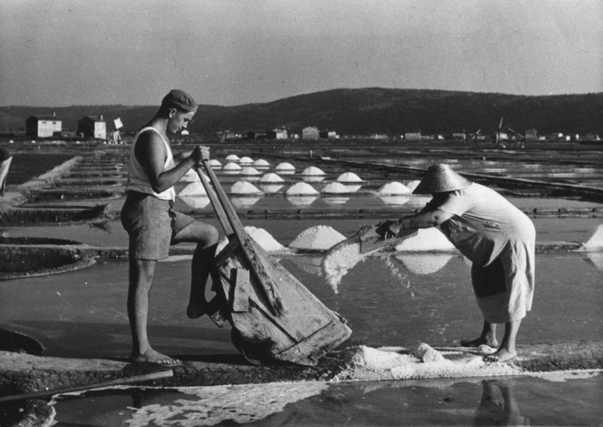 Piran Salt Products like cosmetics, herbs, chocolate. Shops in Koper, Piran and Portorož. 