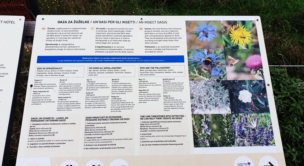 Nature Reserve in Koper, Slovenia - Skocjan bay