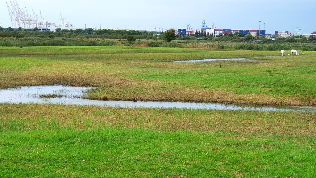 Nature Reserve in Koper, Slovenia - Skocjan bay
