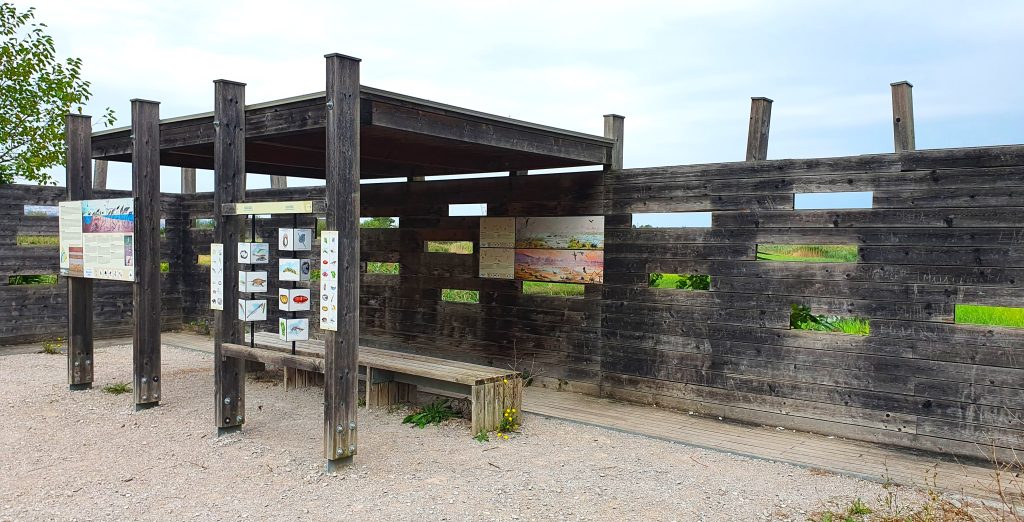 Nature Reserve in Koper, Slovenia - Skocjan bay